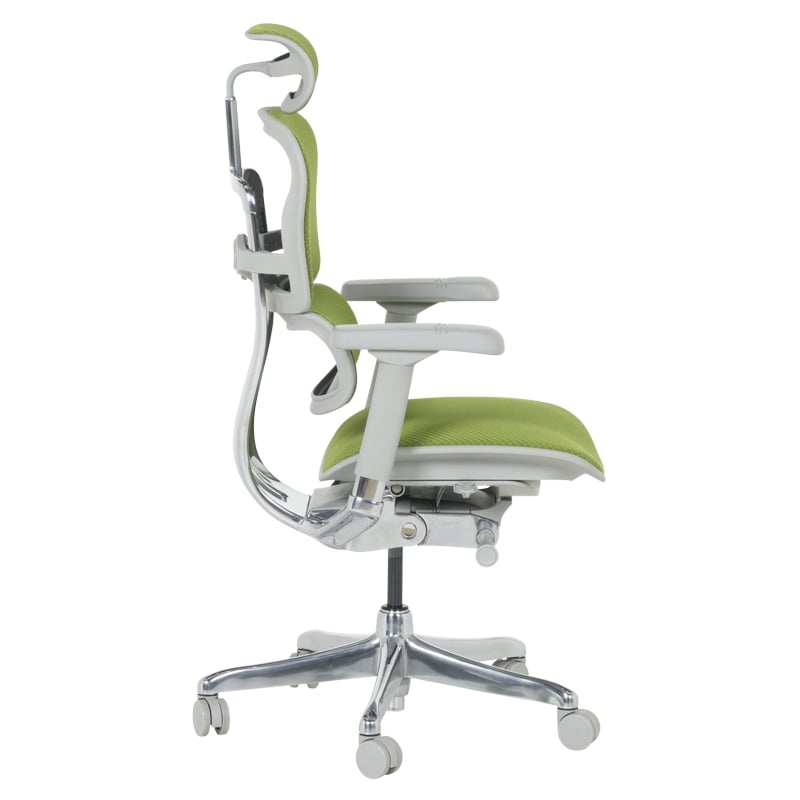 Ергономичен офис стол Ergohuman Elite 2 дамаска зелен-сива рамка